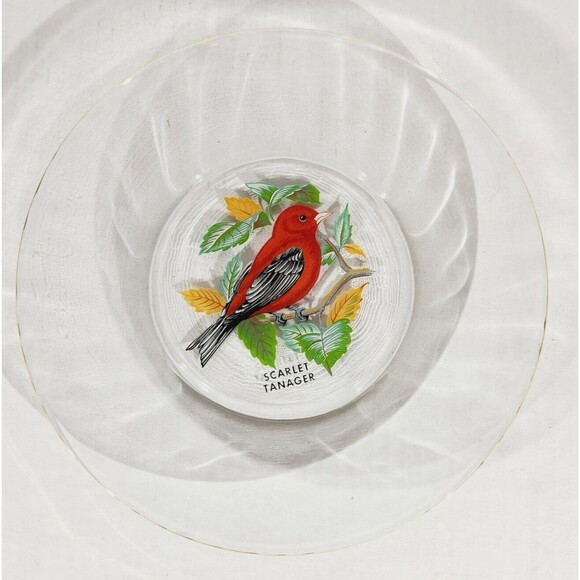 Vtg Glass Plate Painted Scarlet Tanager Bird Plate Clear Gold Trim 8" Red Nature - Picture 2 of 6